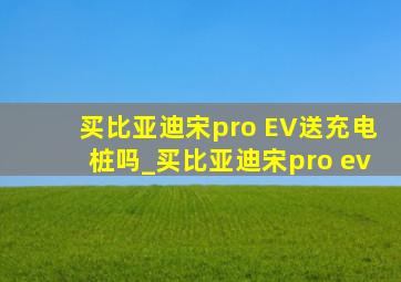 买比亚迪宋pro EV送充电桩吗_买比亚迪宋pro ev